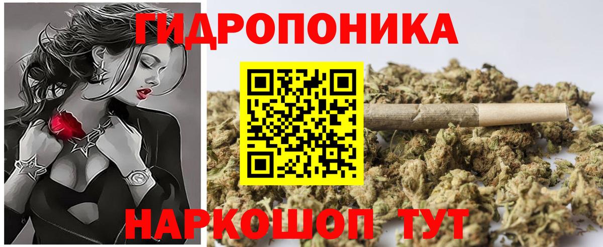 Каннабис Bruce Banner  Каннабис Amnesia  Тайшет  Марихуана гибрид  МАРИХУАНА планчик 